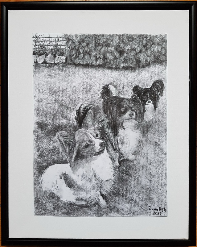 Sally, Chip og Elvis